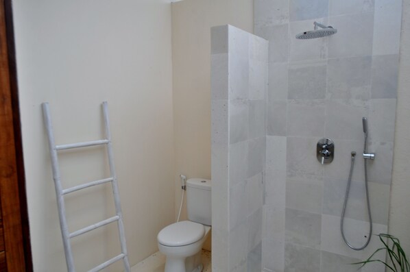 A bathroom with a toilet, a shower, and a white ladder.