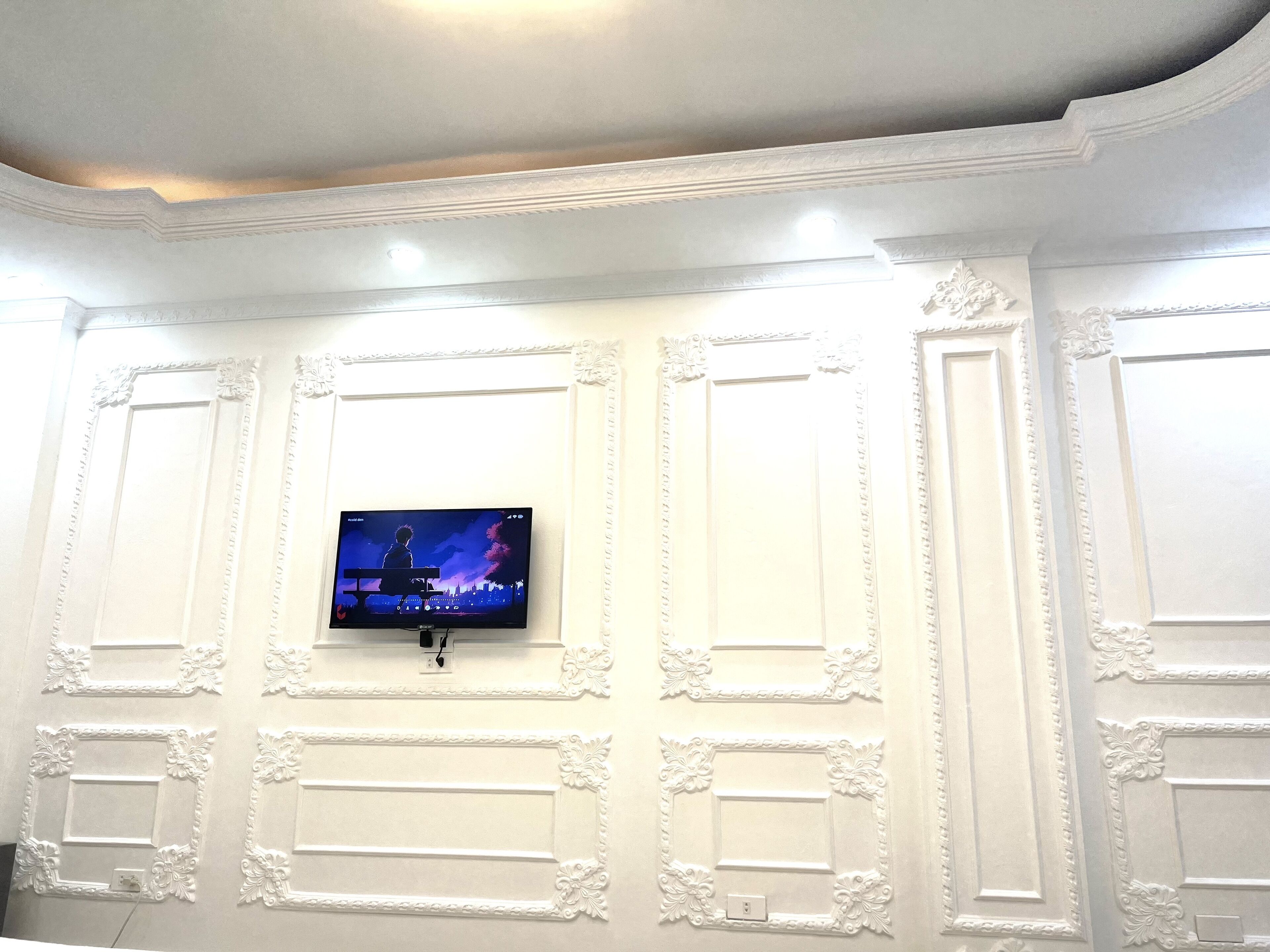 Una pared con molduras decorativas y un televisor montado.