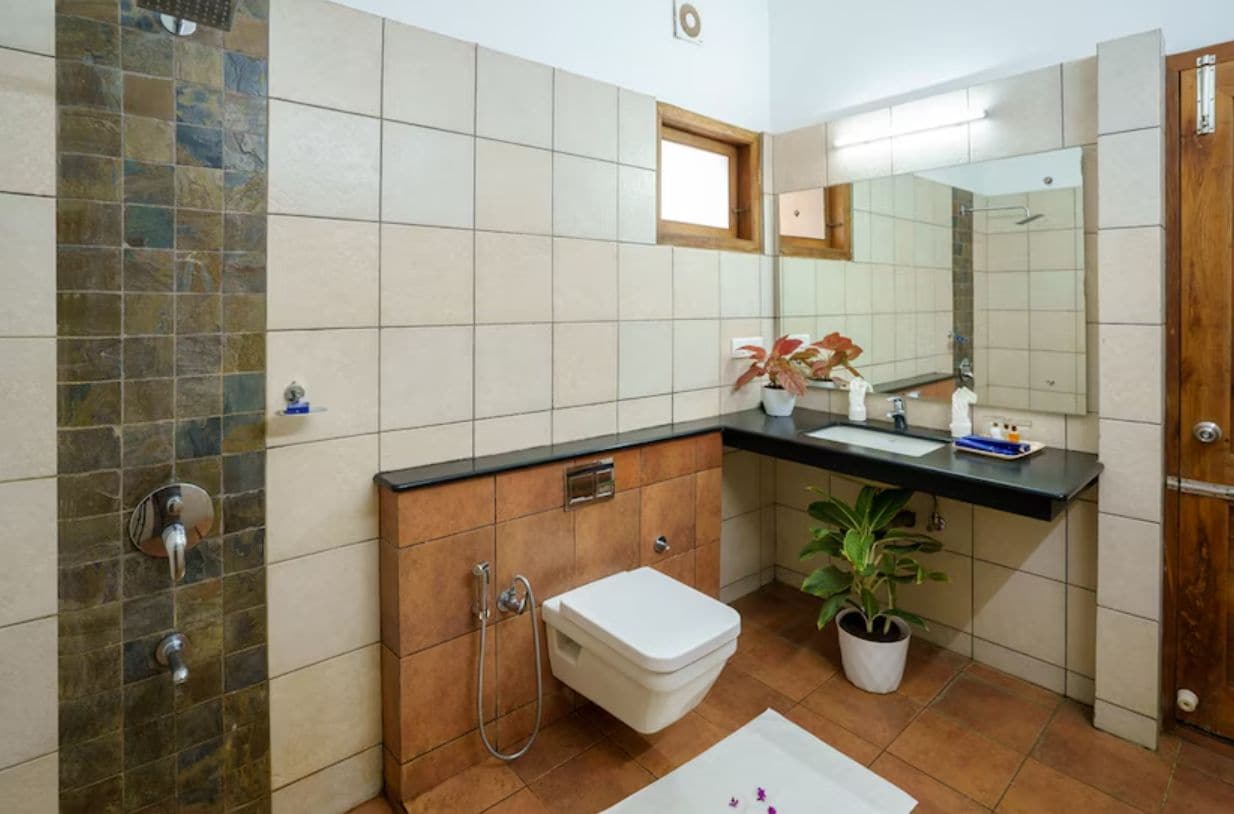 A bathroom with a shower, toilet, sink, and a potted plant.