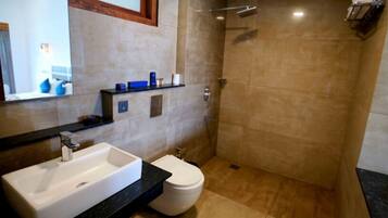 Un baño moderno con un lavabo grande, inodoro y ducha.