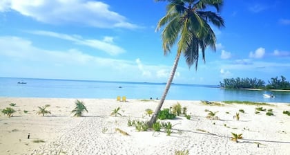 Robbys Place Andros