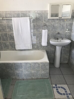 Shower, towels, soap, toilet paper