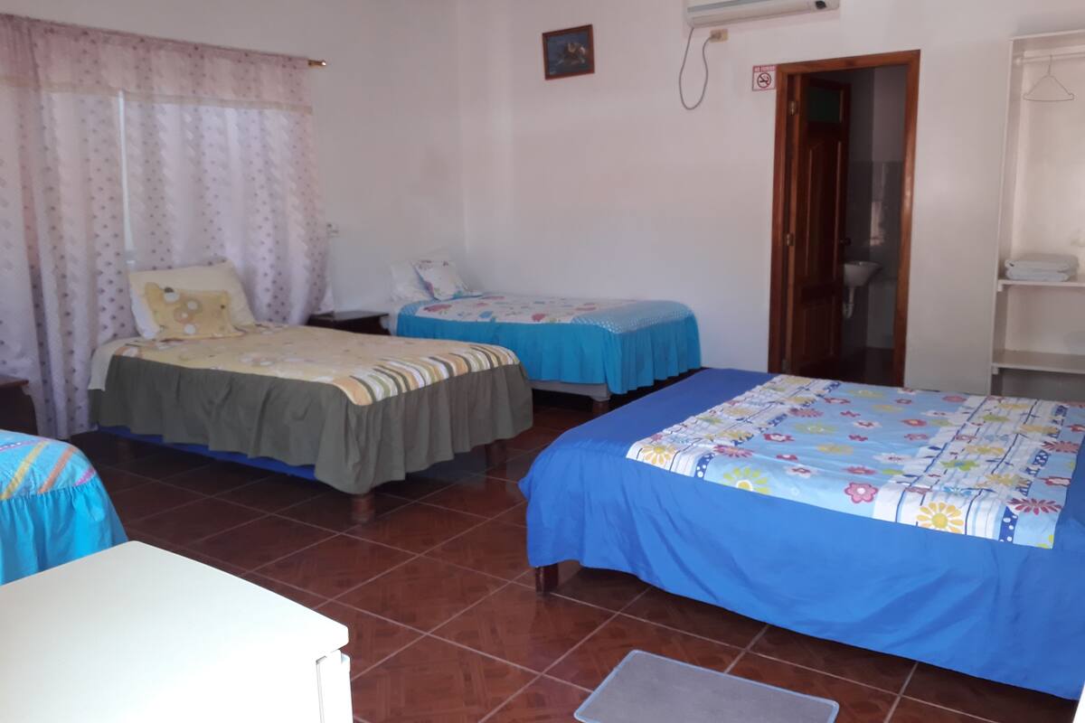 Basic Quadruple Room, Multiple Beds, Non Smoking | Minibar, in-room safe, desk, WiFi (free)