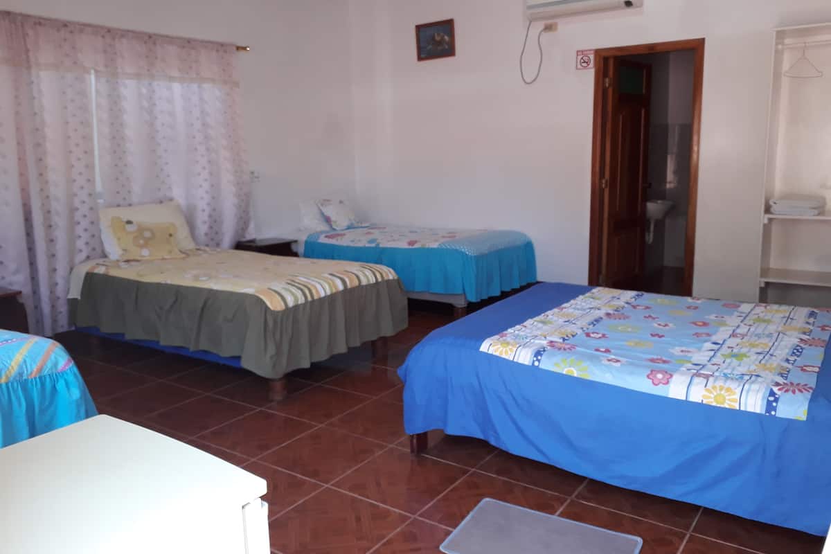 Basic Quadruple Room, Multiple Beds, Non Smoking | Minibar, in-room safe, desk, free WiFi