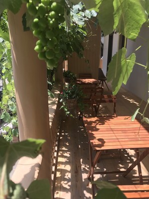 Terraza o patio