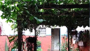 A covered outdoor area with potted plants and a tiled floor. - Hostel BH (Belo Horizonte)