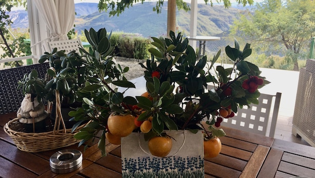 A wooden table with a decorative plant, a wicker basket, and a ceramic pot with a blue floral design. - Ktima Noosfera wellness & retreat center (Xylokastro-Evrostina)