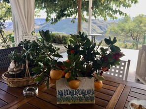 A wooden table with a decorative plant, a wicker basket, and a ceramic pot with a blue floral design. - Ktima Noosfera wellness & retreat center (Xylokastro-Evrostina)