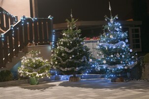 A Christmas tree decorated with lights and ornaments in front of a building.
