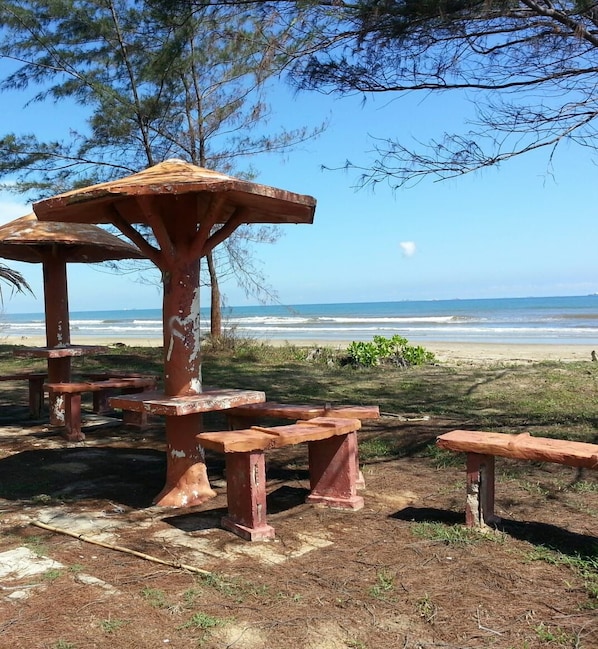BBQ/picnic area