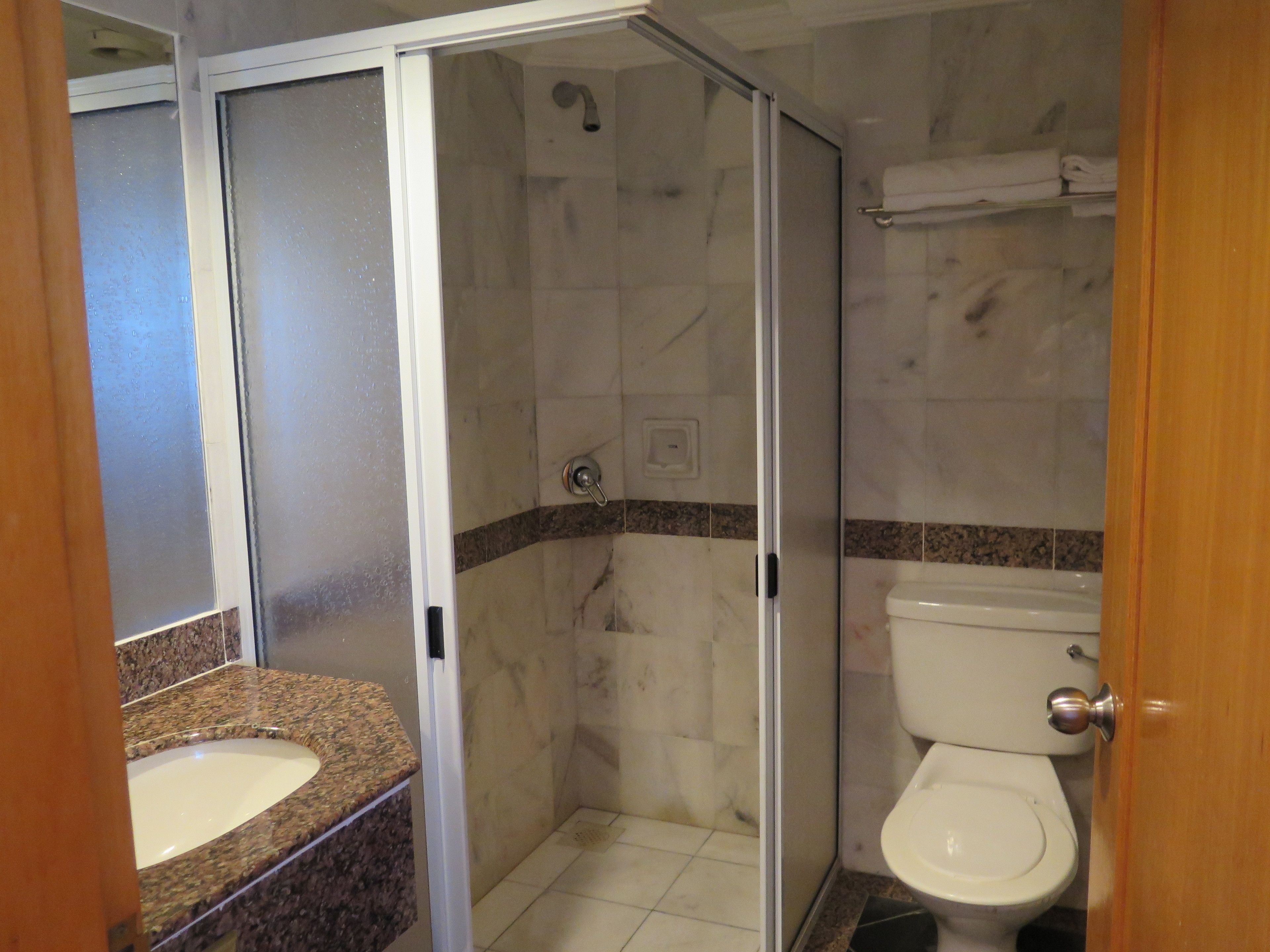 A bathroom with a shower enclosure, a sink, and a toilet.