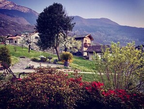 Parco della struttura