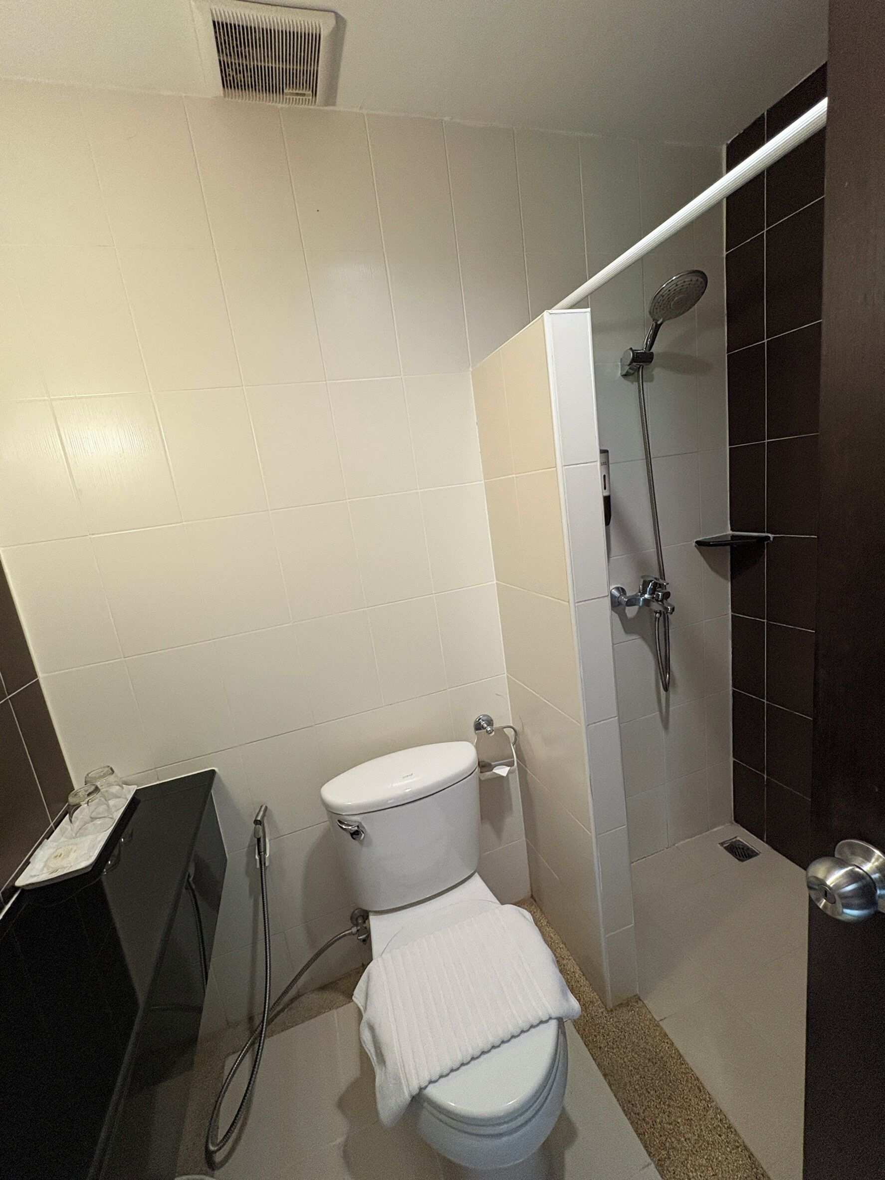 A bathroom with a toilet, shower, and a sink with a mirror.