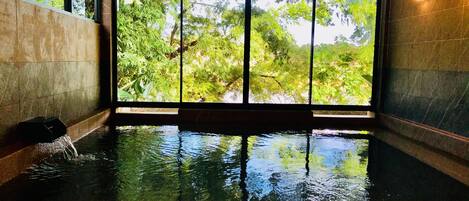 Una amplia piscina interior con vistas despejadas a árboles a través de grandes ventanales.