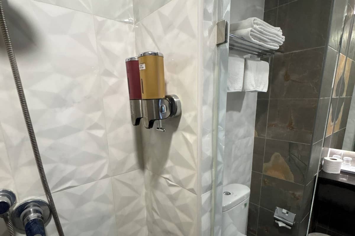 Une salle de bain Ă©quipĂ©e dâune douche, de toilettes et dâun porte-serviettes.
