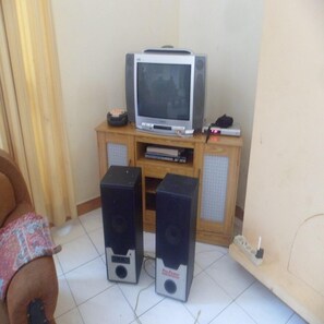 Television