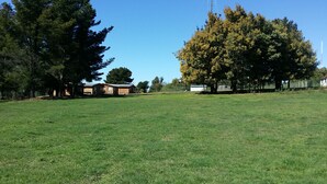 Un campo cubierto de hierba con varias cabañas de madera y un gran árbol.