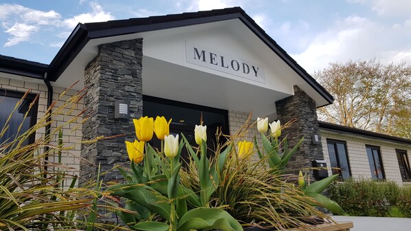 Detalle del exterior