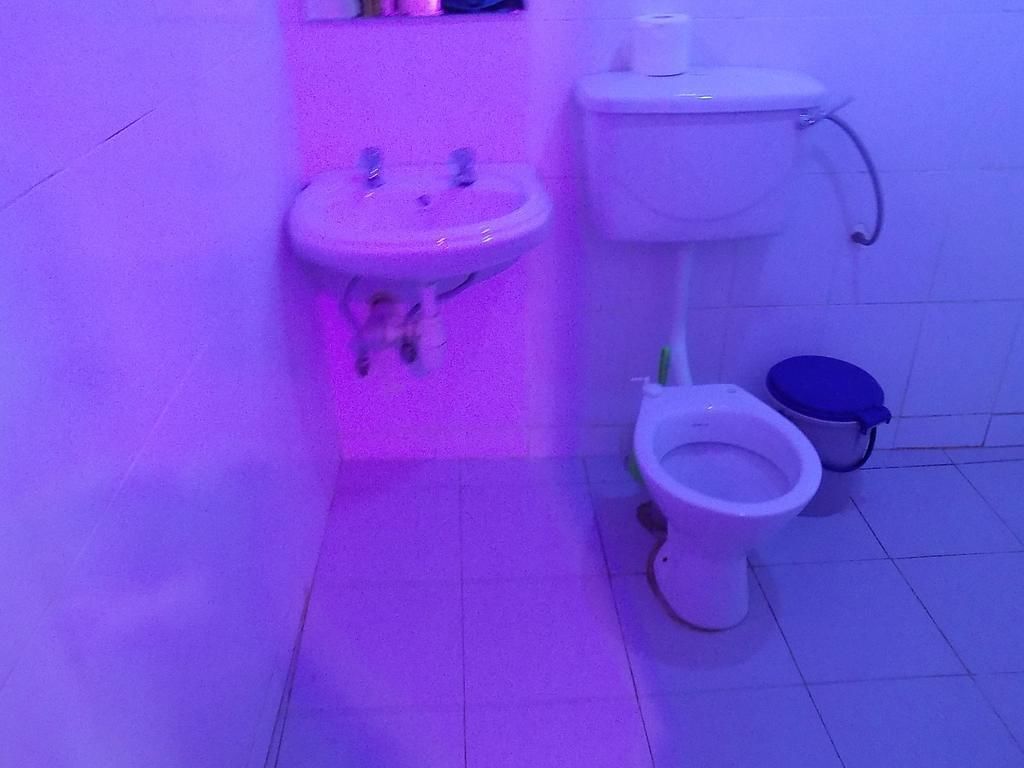 A bathroom with a sink, toilet, and a bucket.