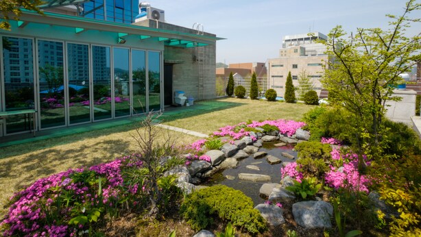 Ein modernes Gebäude mit großen Glasfenstern, ein gepflegter Garten mit rosa Blüten und ein klarer Himmel.