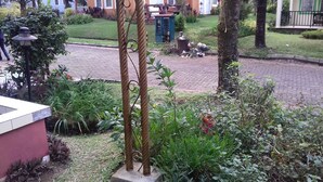 A garden area with a paved walkway, various plants, and a blue utility box. - Kota Bunga R (Cipanas)