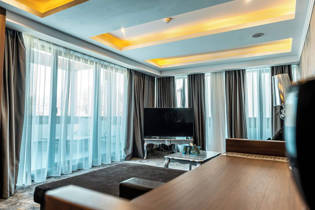 Appartamento Luxury, vista parco | Area soggiorno | TV a schermo piatto