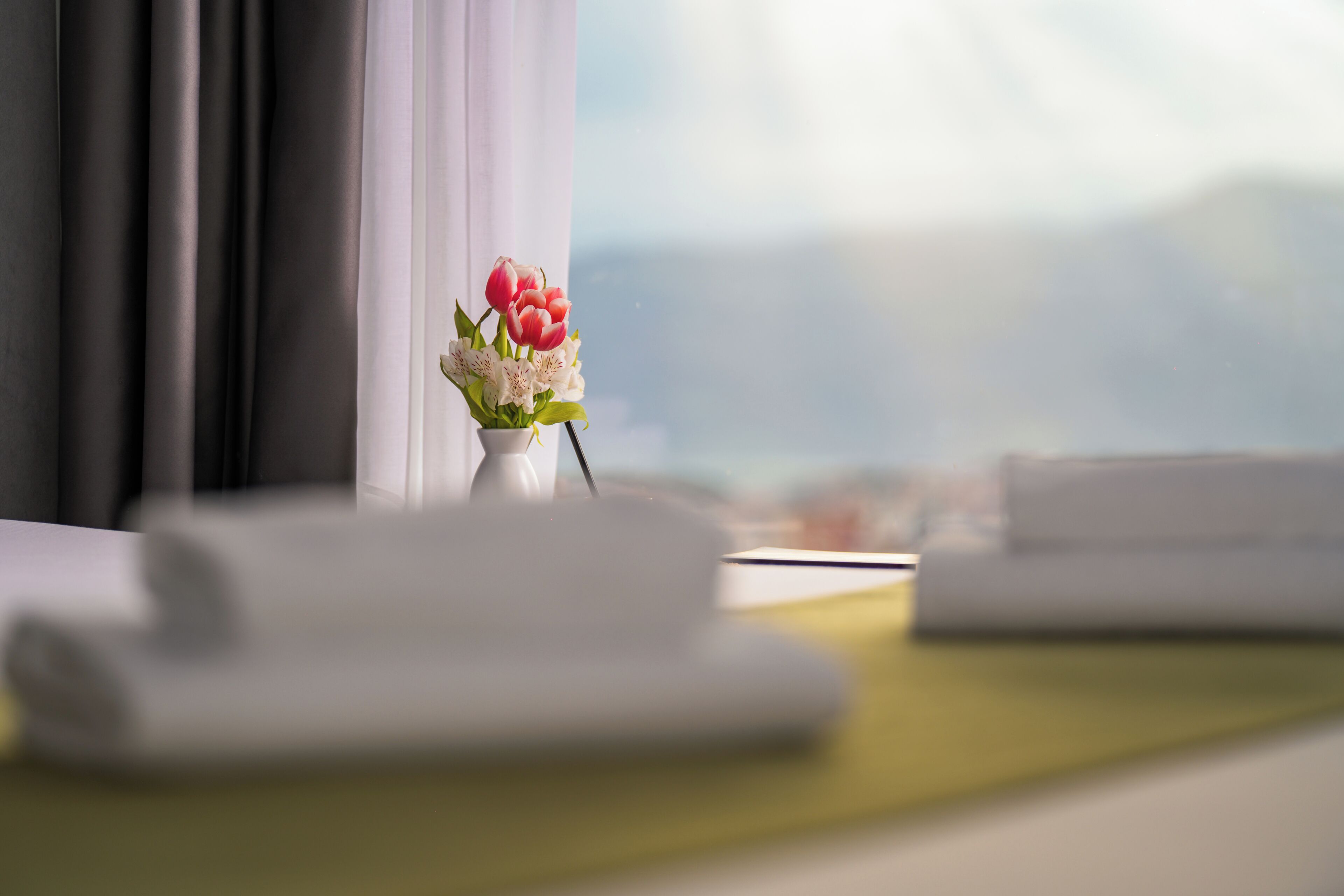 luxury apartment, park view | view from room