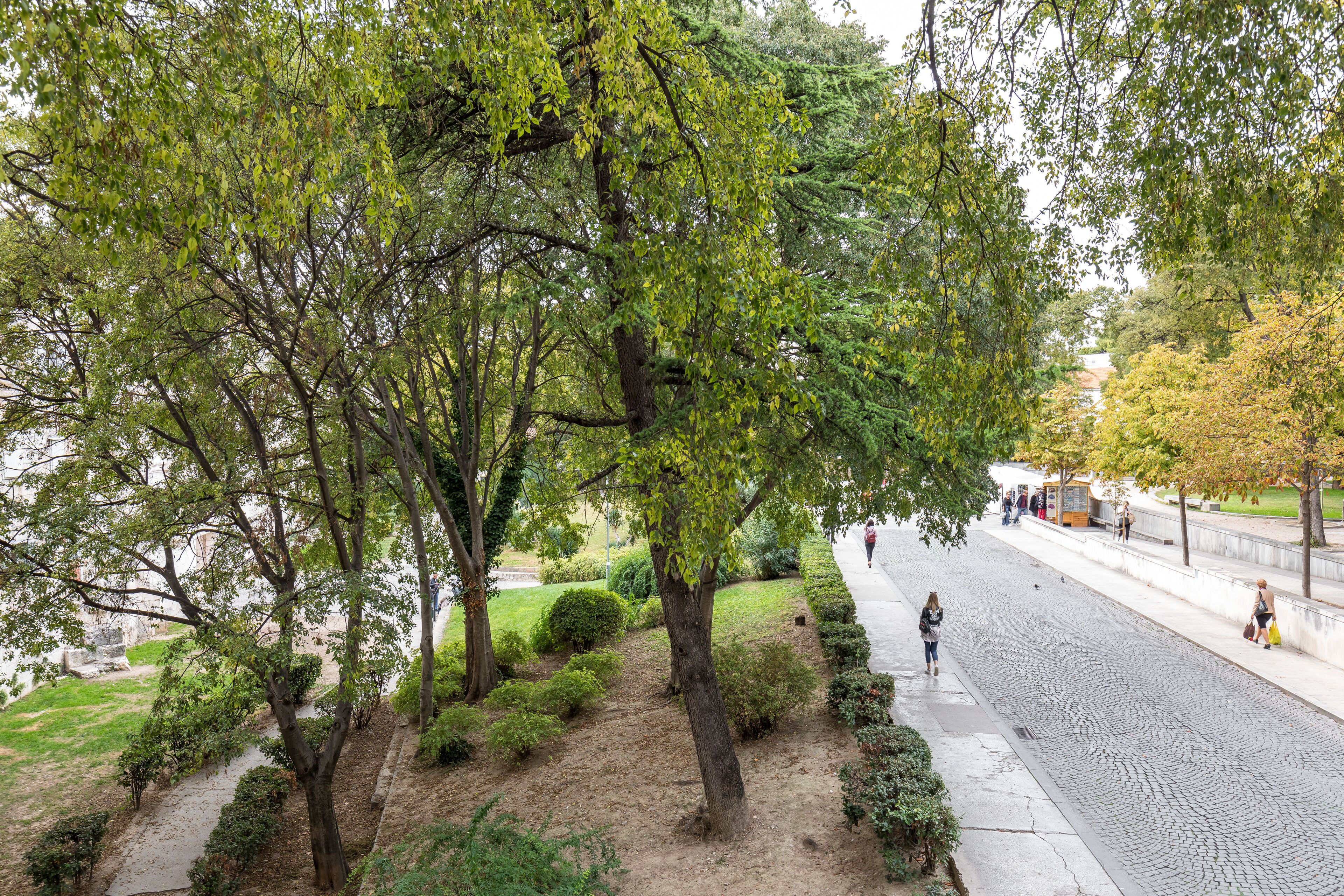 Un parque con árboles, un camino pavimentado y una acera.