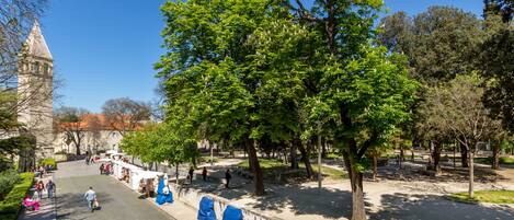 Un parque con árboles, un sendero y un edificio histórico al fondo.