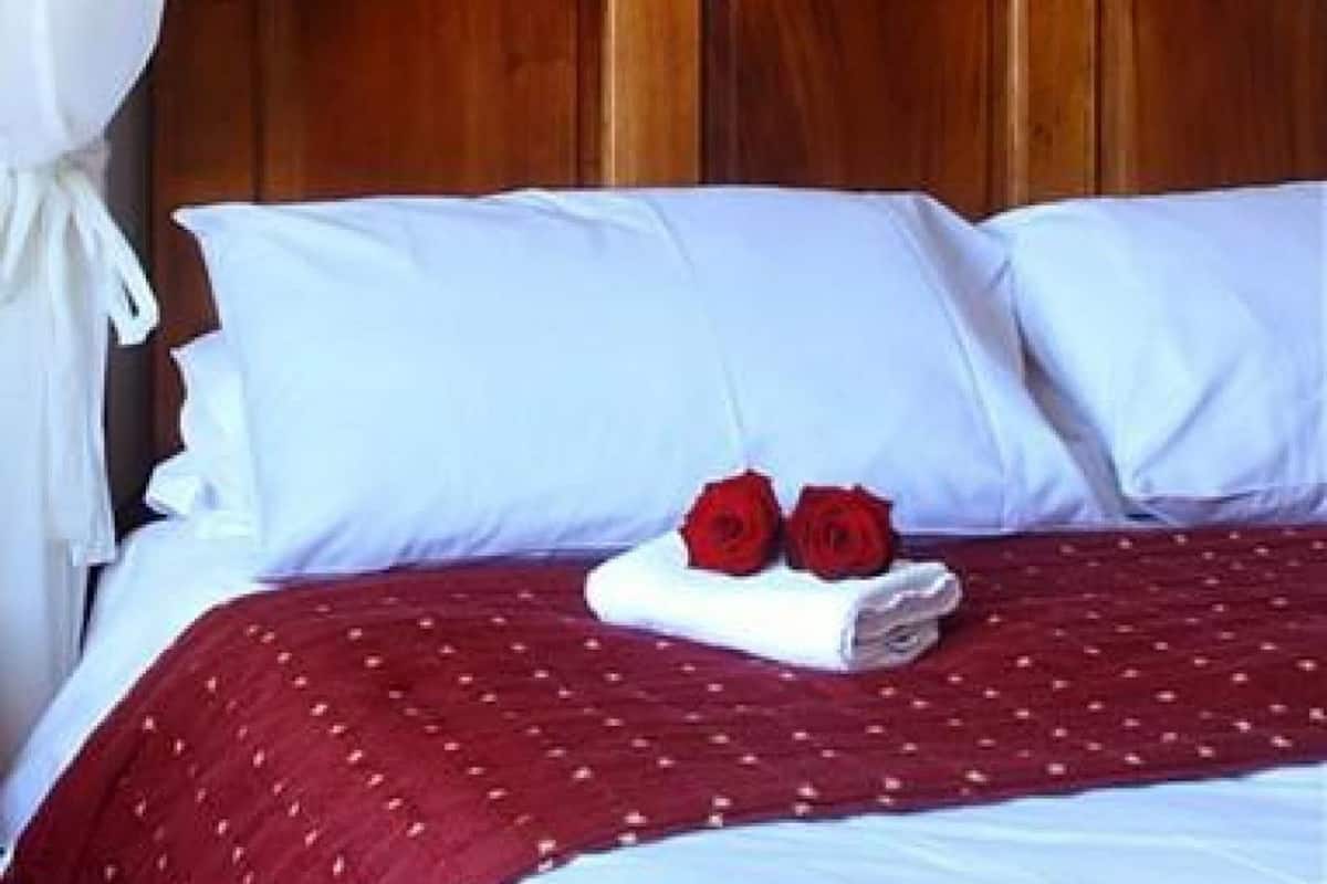 Standard Double Room, Garden View (Four Poster) | Desk, blackout drapes, WiFi (free), bed sheets