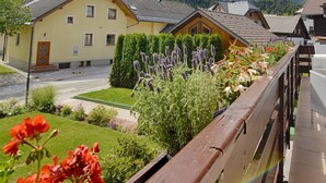 Dobbeltrom, privat bad | Utsikt fra balkong