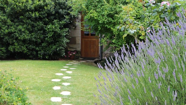 Un jardín con un camino de piedra que conduce a una puerta de madera, rodeado de abundante follaje y plantas de lavanda.