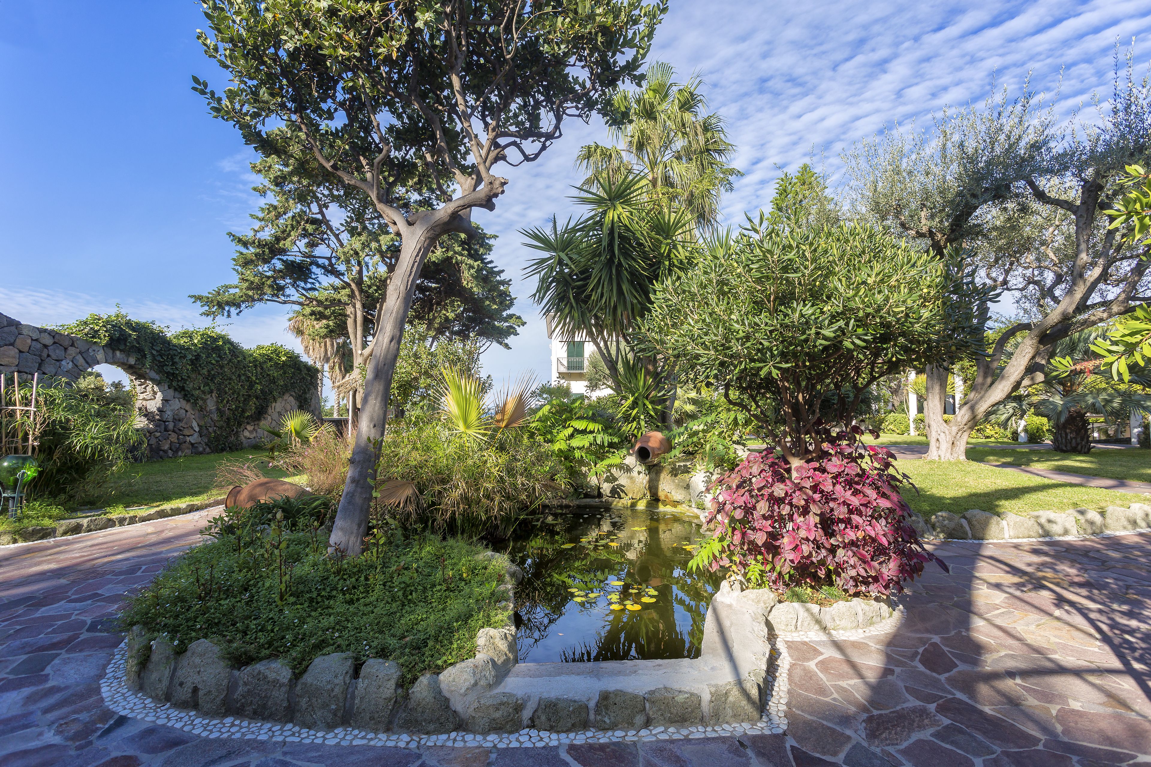 A garden with a pond, stone pathway, and various trees.