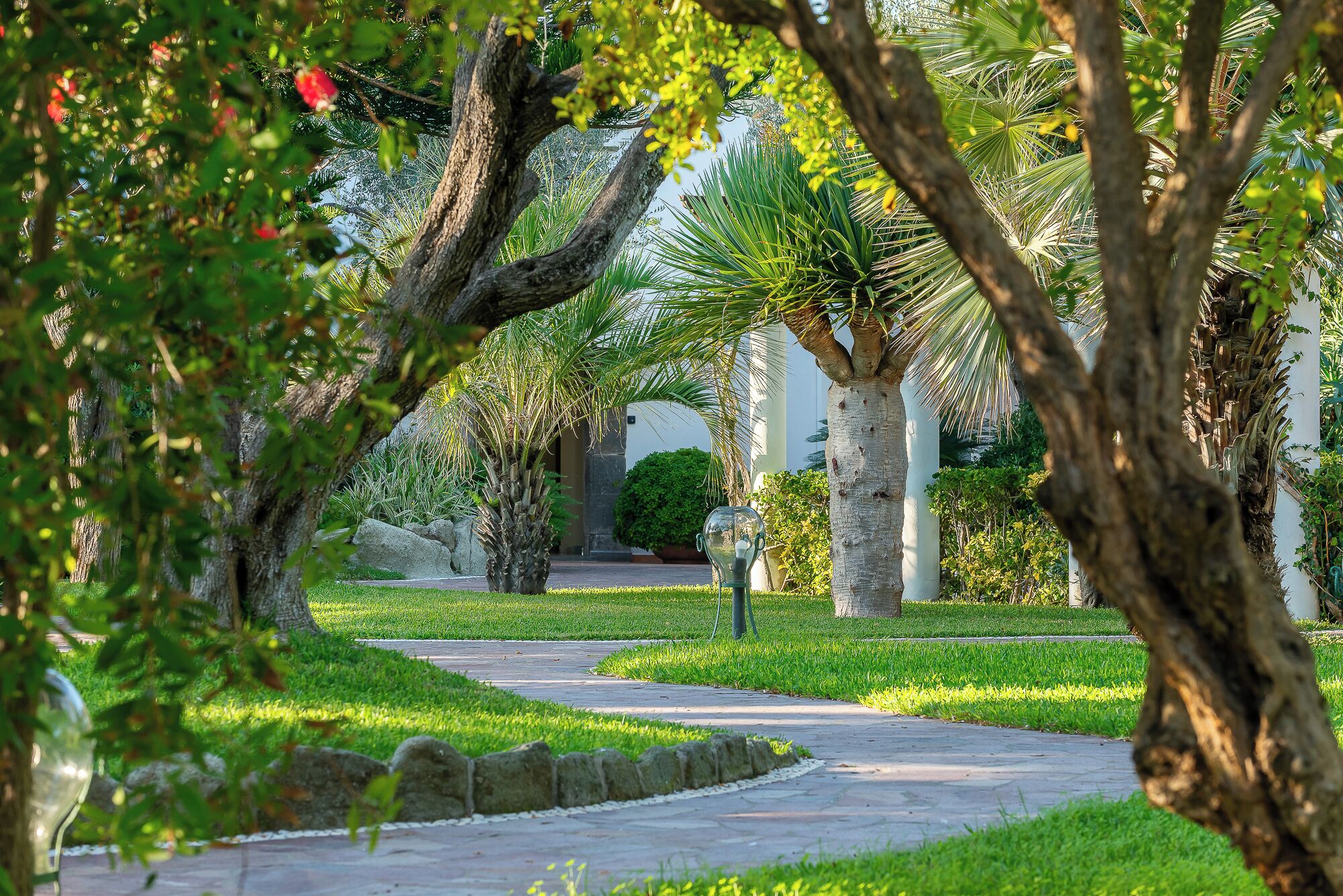 Un sendero bordeado por exuberante vegetación y palmeras, que conduce a un edificio de fachada blanca.