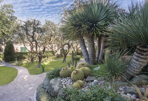 Garden - Hotel Terme Tritone Resort & Spa (Forio)