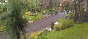 Kota Bunga D