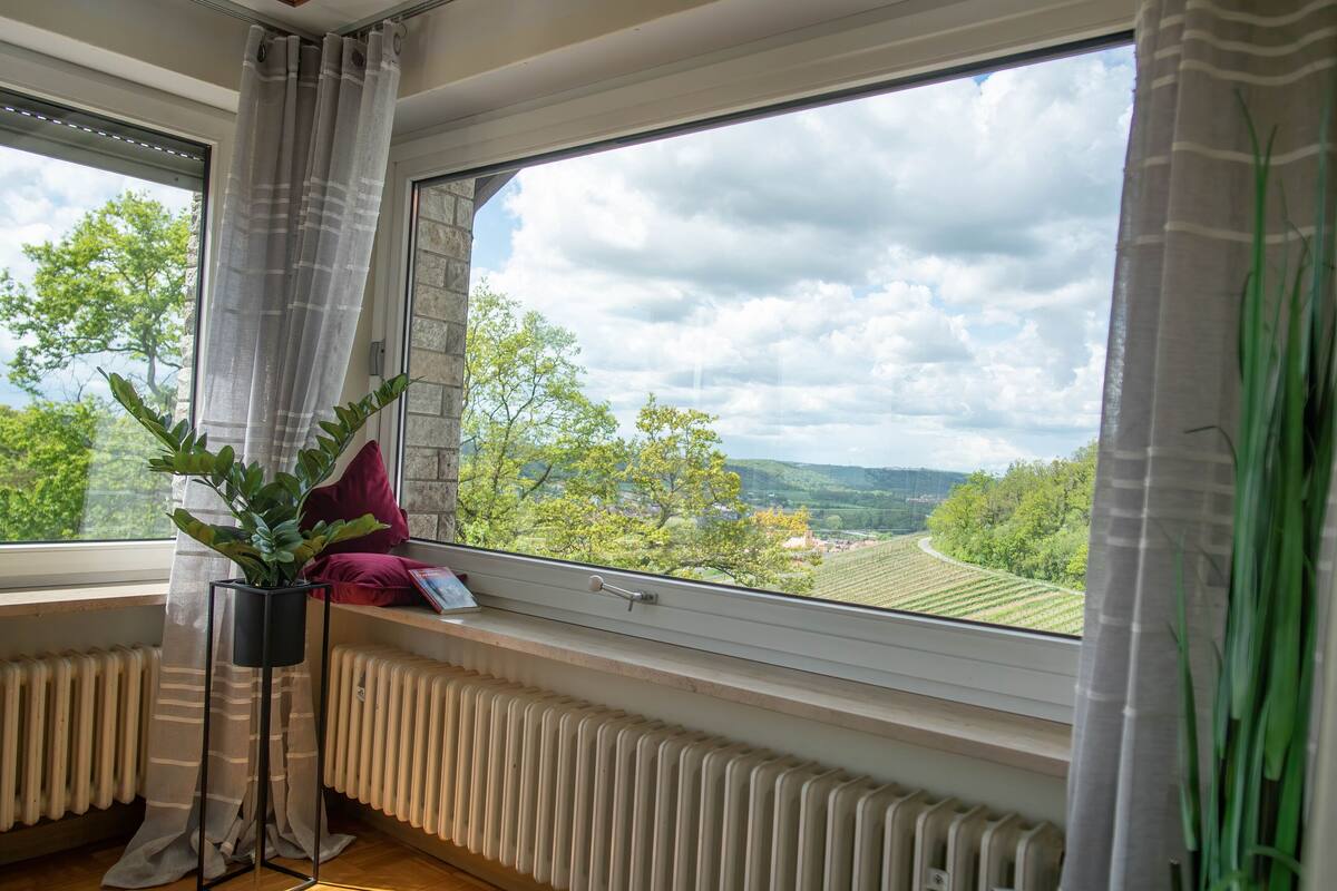 A room with a large window, a radiator, a plant, and a book on a windowsill.