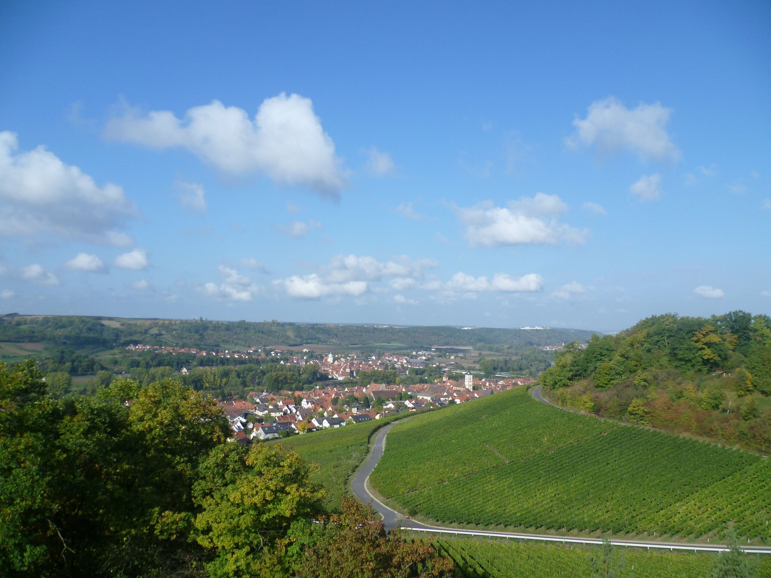 Ländliche Landschaft mit einer kurvenreichen Straße, einem Weinberg und einer kleinen Stadt in der Ferne.