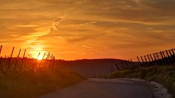 En landevej med et hegn langs den ene side og en solnedgang i baggrunden.