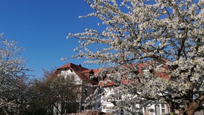 A building with a red roof and white walls, surrounded by blooming trees. - Kirschberghof - Adults Only (Sommerhausen)
