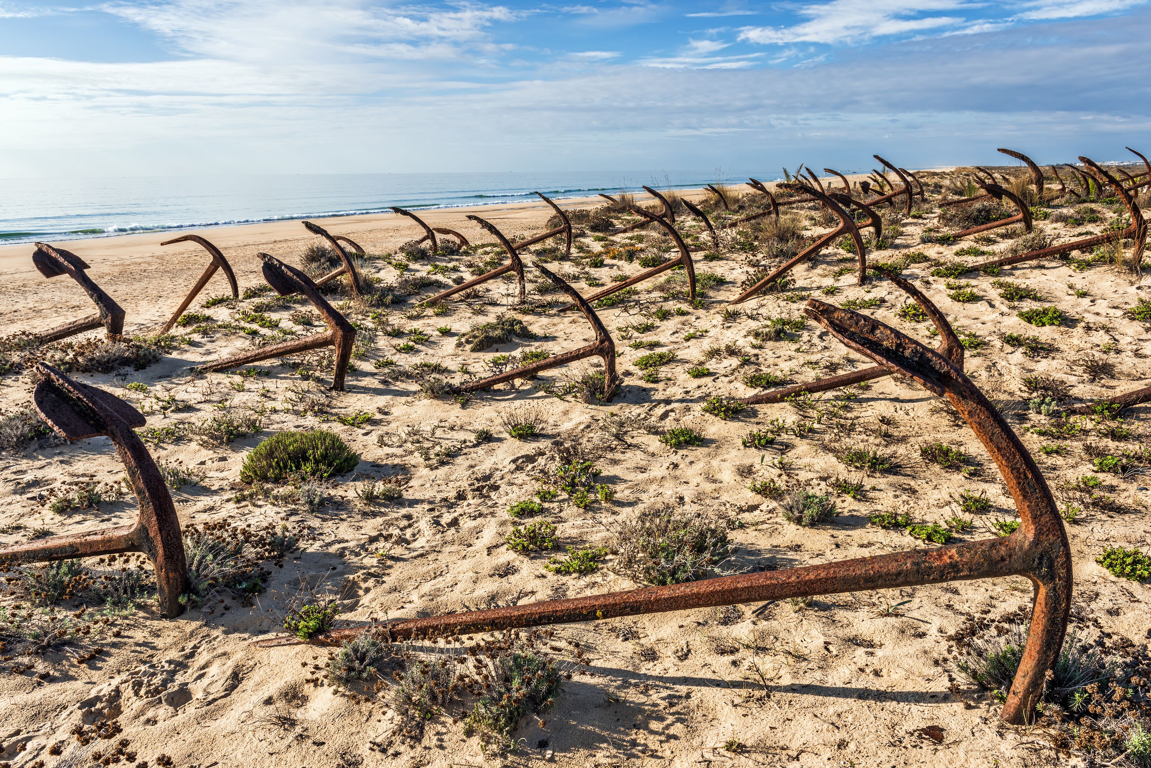 A beach with rusty anchors scattered across the sand.