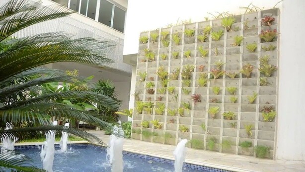 Una piscina con chorros de agua, rodeada de palmeras y un muro con plantas en macetas.