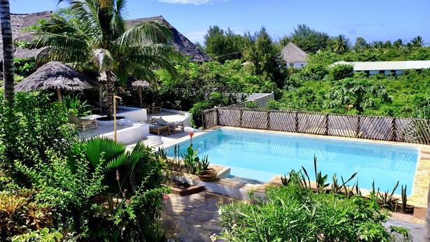 A swimming pool surrounded by lush greenery, with thatched umbrellas and lounge chairs. - Nyumbani Residence Apartments (Jambiani)