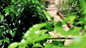 A tropical garden with a thatched-roof structure, lush greenery, and a pathway leading to a beach. - Nyumbani Residence Apartments (Jambiani)