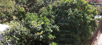 Casa Vacanze Da Angela