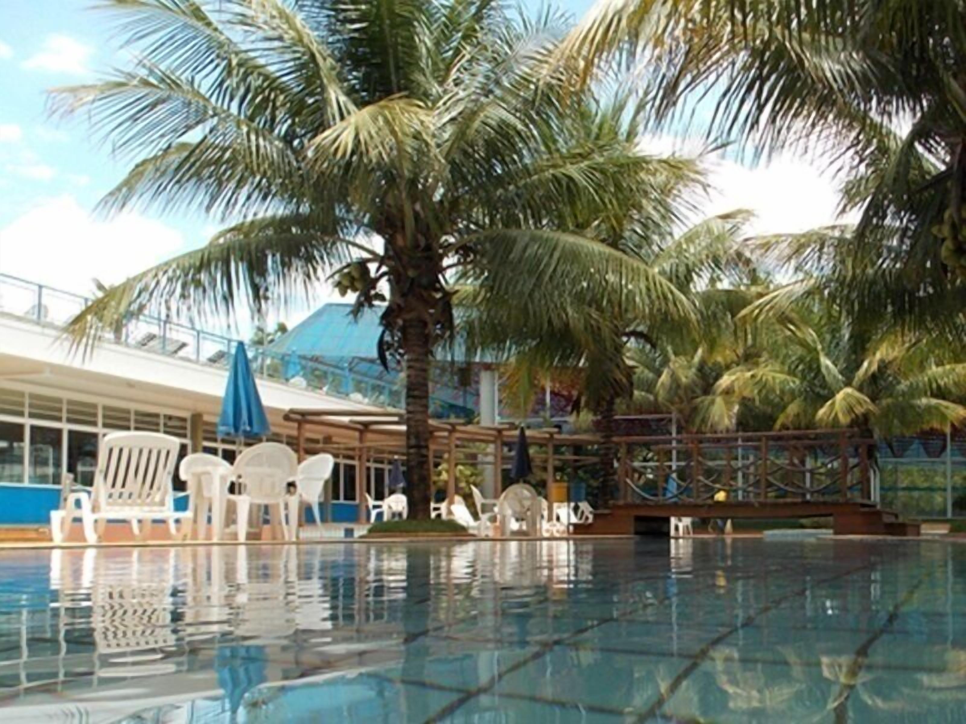 An indoor swimming pool with clear water, surrounded by palm trees and white lounge chairs.