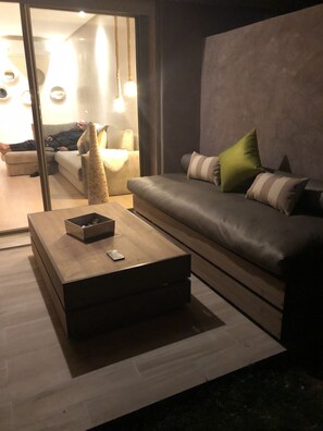 55 吋平面電視連衛星電視頻道、電視