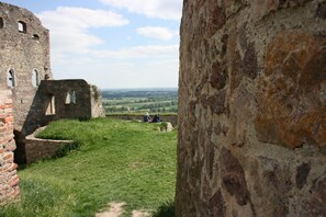 เดินป่า