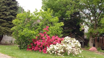 Jardin