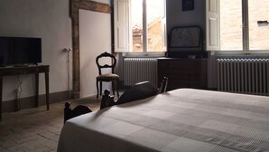 Chambre Supérieure (Apollo)